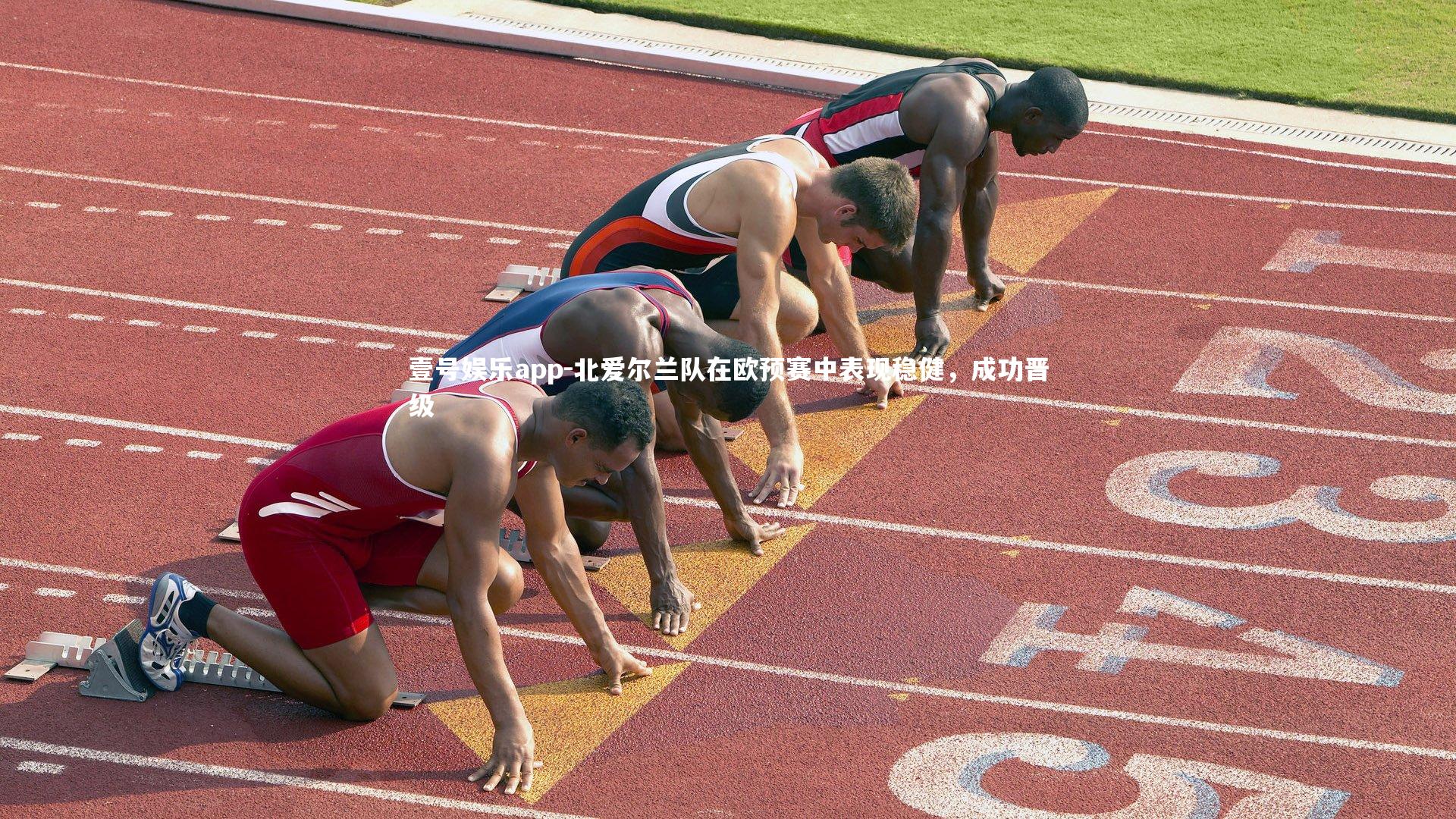 北爱尔兰队在欧预赛中表现稳健，成功晋级