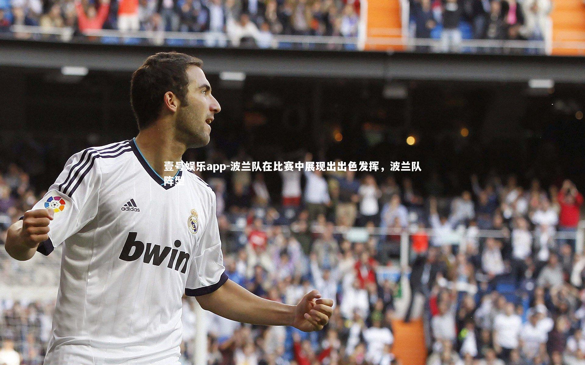 波兰队在比赛中展现出出色发挥，波兰队阵型